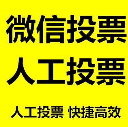 渭南市投票活动拉票能被查出来吗？如何操作能不被发现？